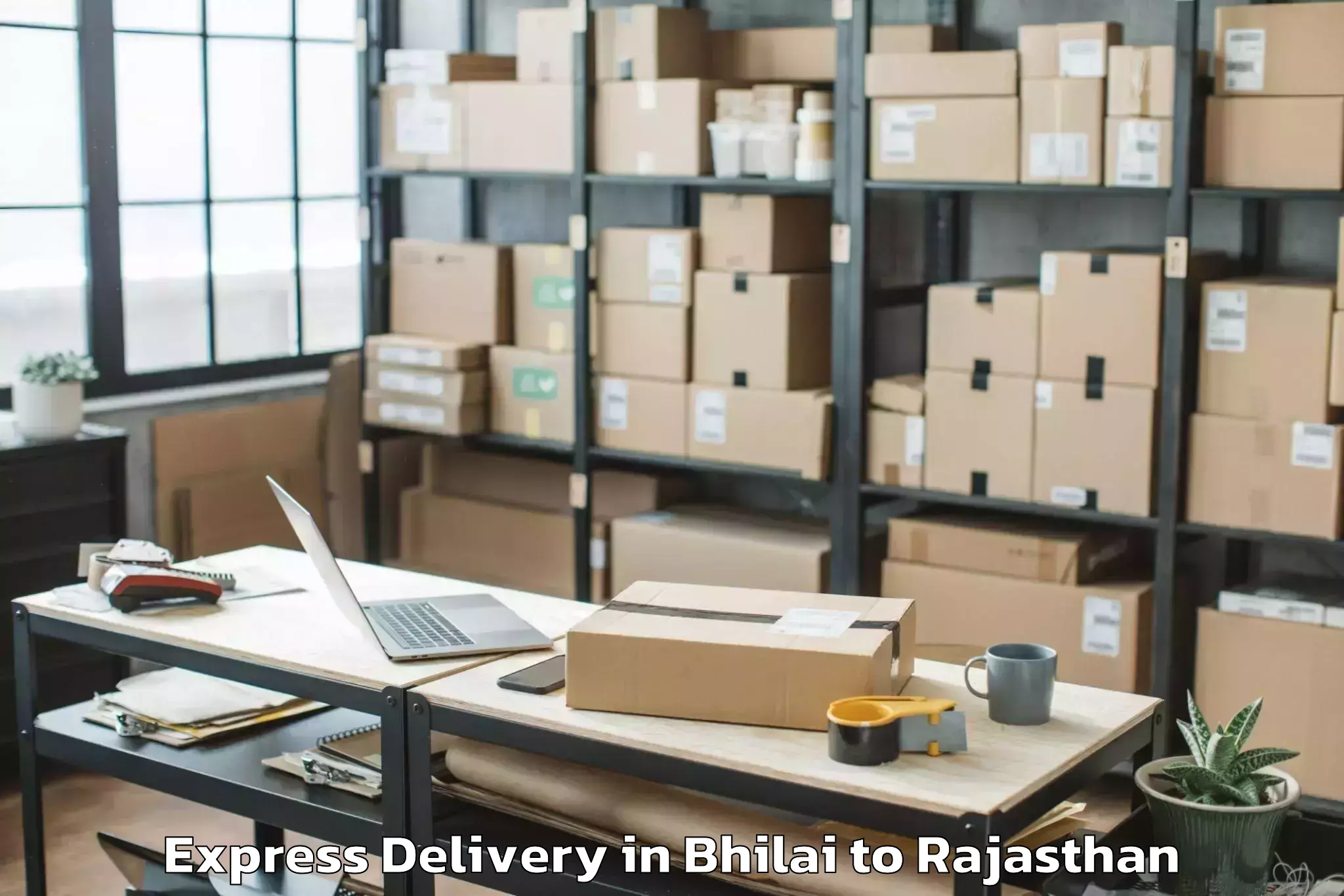 Get Bhilai to Pacific University India Udaip Express Delivery